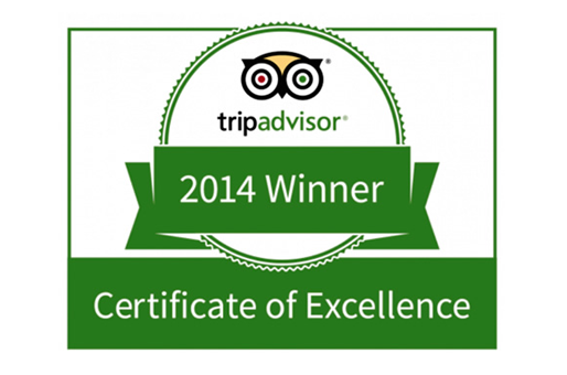 Certificate of Excellence