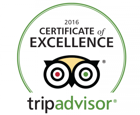 Certificate of Excellence
