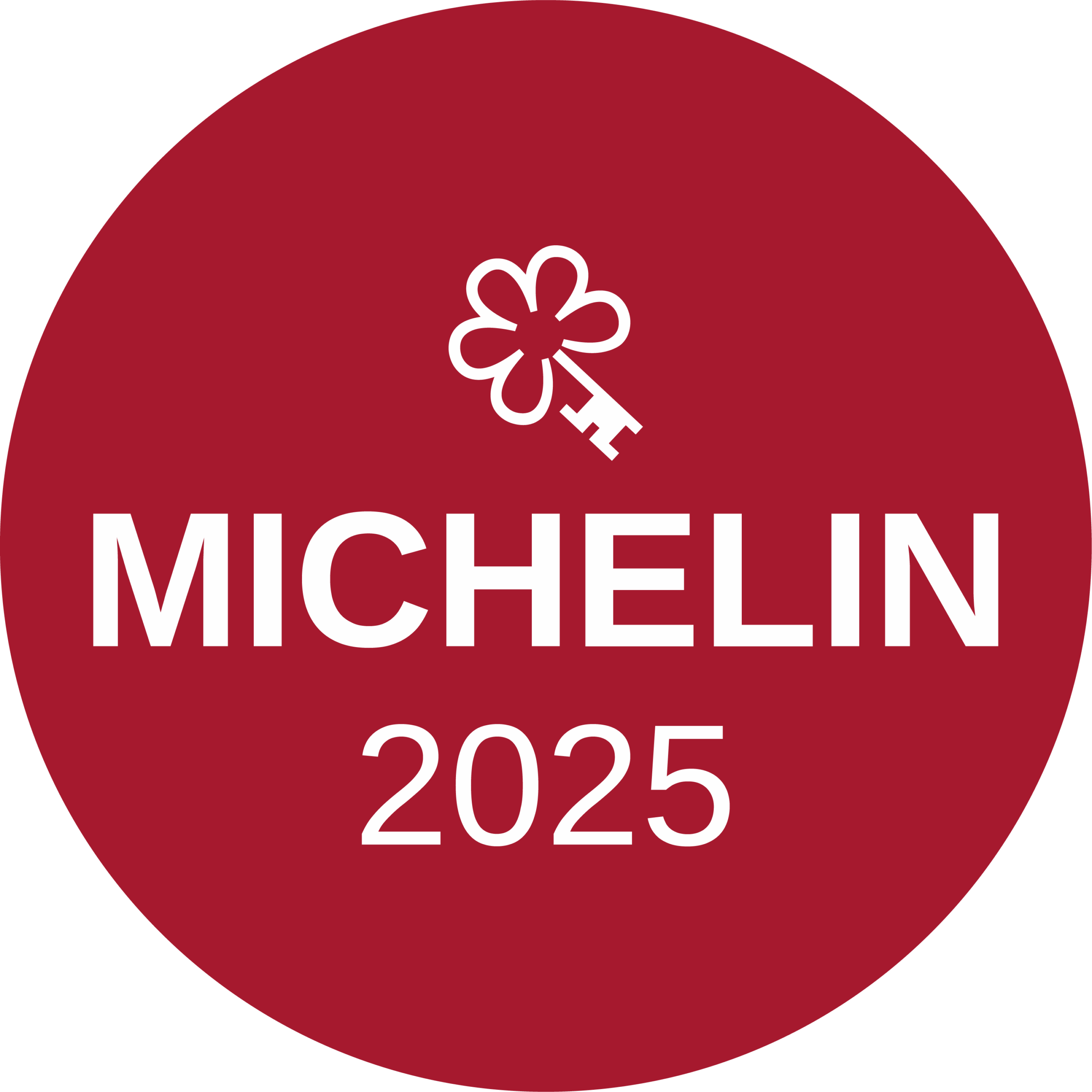 1 Chiave MICHELIN
