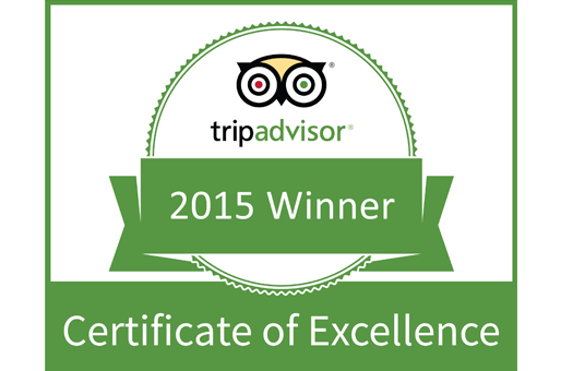 Certificate of Excellence
