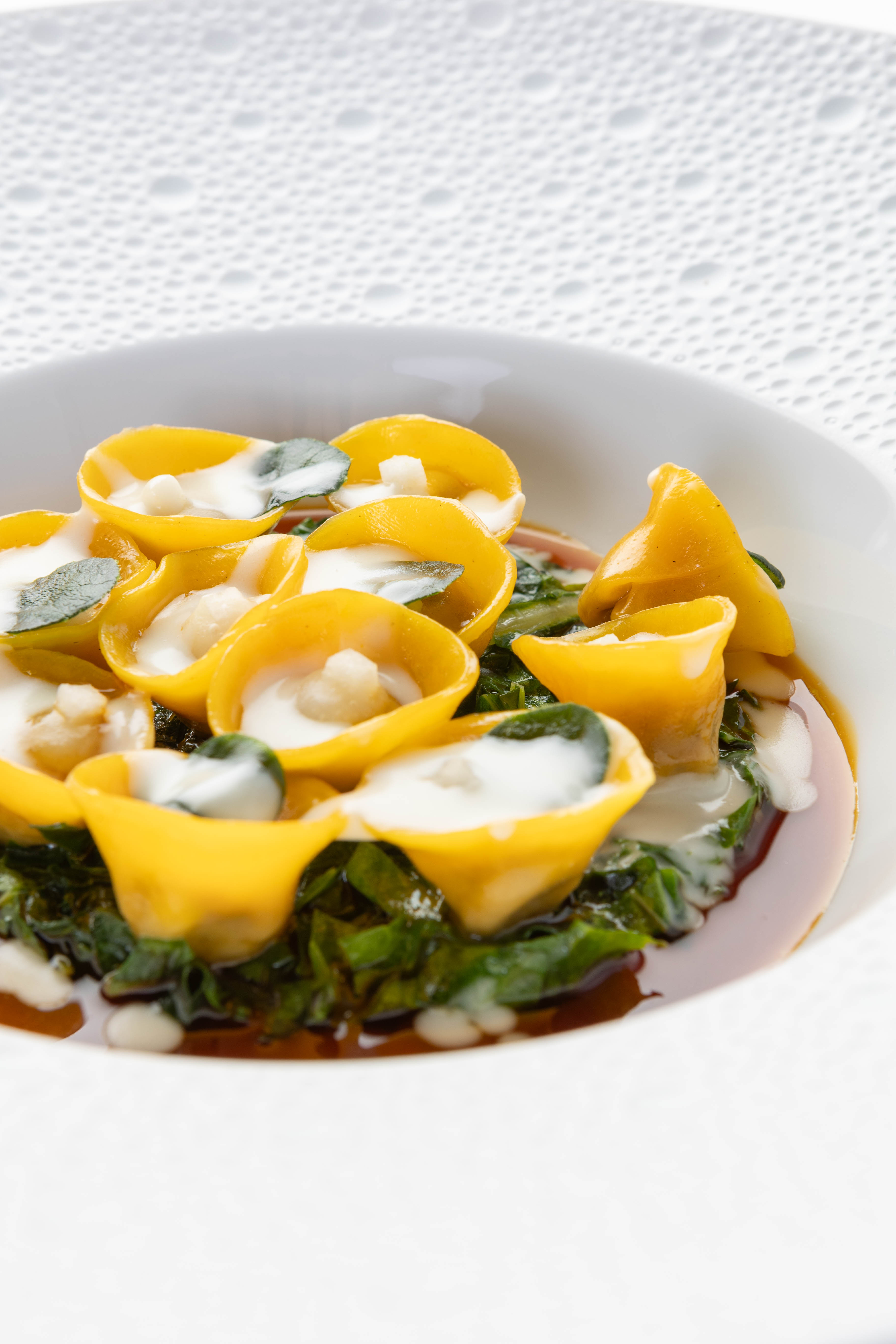 2404 BSJ Tortelli Bue 11
