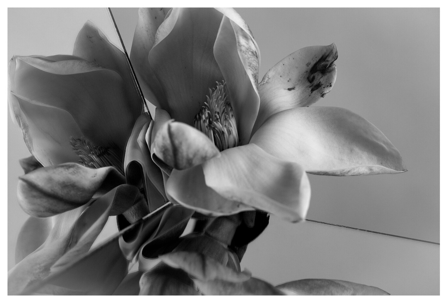 Roberto Patella, The volatility of being