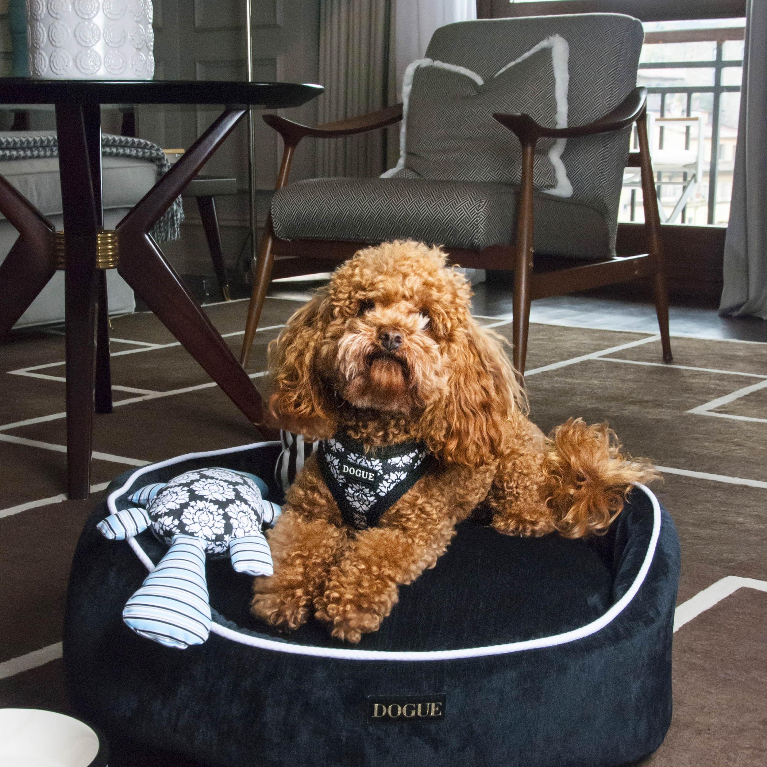 hotelPetFriendlyFirenzeDog
